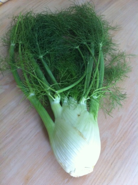 Flavors of Fennel “Finocchio”
