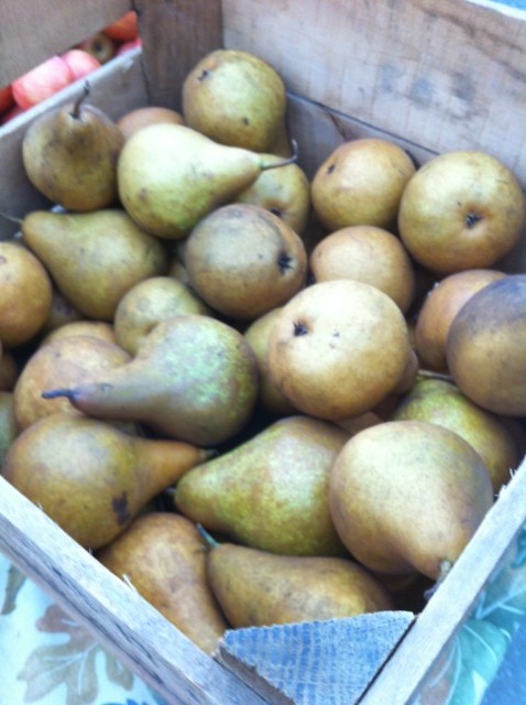 Foods of The Harvest