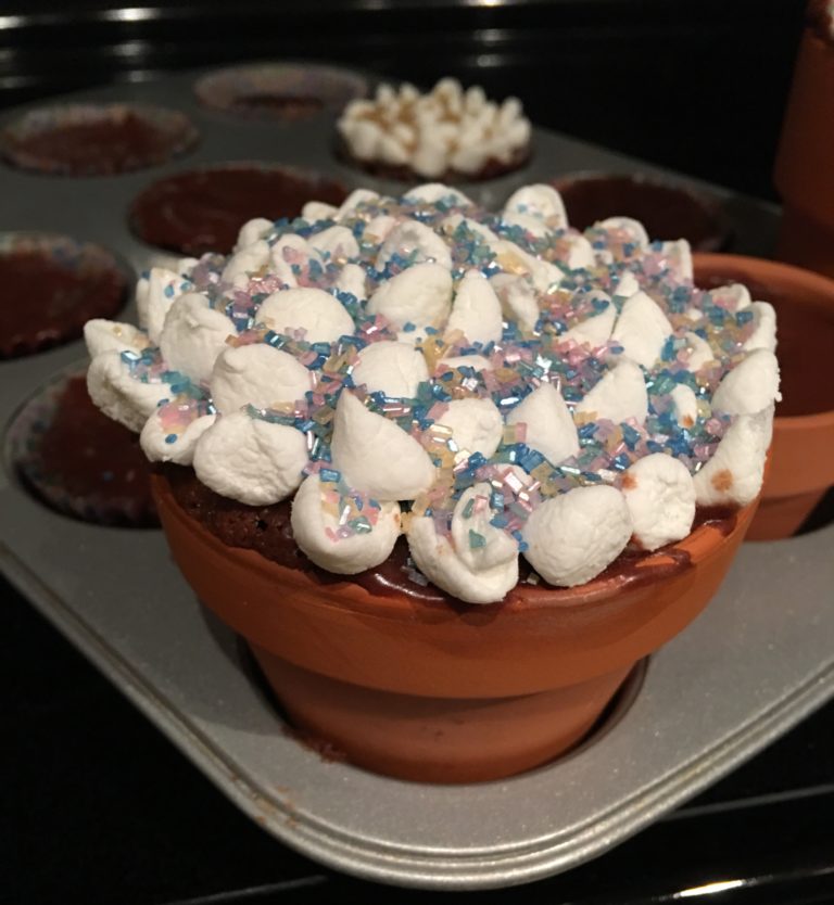 Chocolate Cake for Mom on FOX 46 News Charlotte